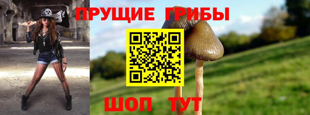 Белореченск  Галлюциногенные грибы MAGIC MUSHROOMS  Вход с VPN 